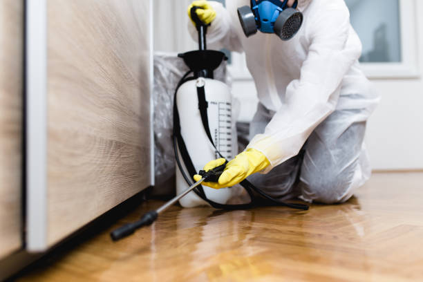 Best Residential Pest Control  in Brielle, NJ