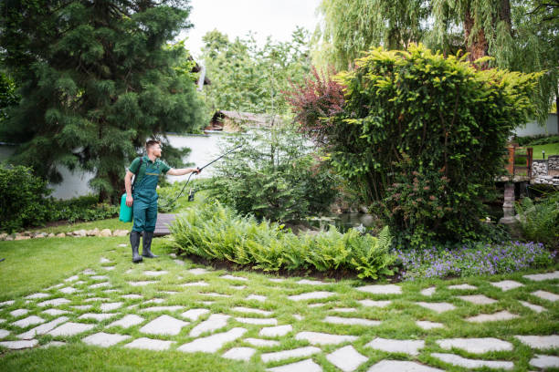 Best Exterminator Services  in Brielle, NJ