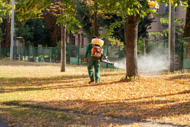 Best Wildlife Control Services  in Brielle, NJ