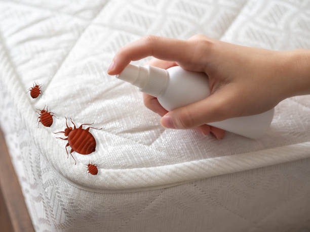 Best Residential Pest Control  in Brielle, NJ