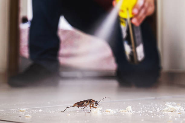 Best Pest Removal Services  in Brielle, NJ
