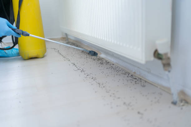 Best Pest Prevention Services  in Brielle, NJ